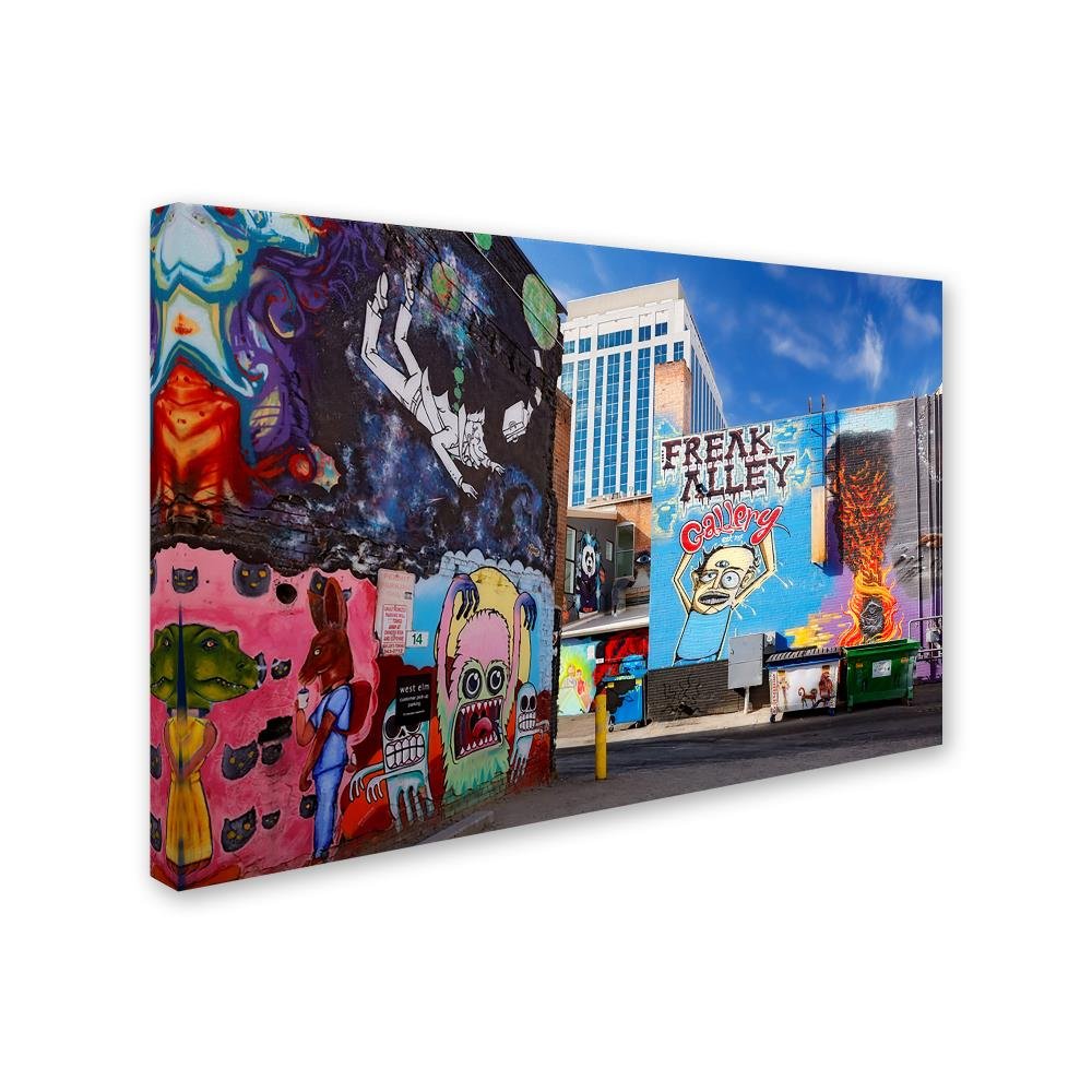Amazon.com: Trademark Fine Art ALI17879-C1624GG Boise Freak Alley
